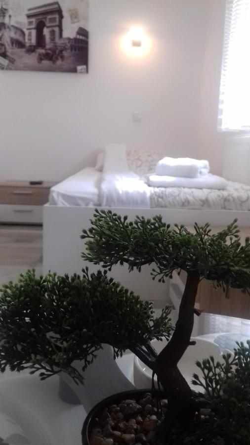 Mesecev Konak Bed and Breakfast Ni Exterior foto