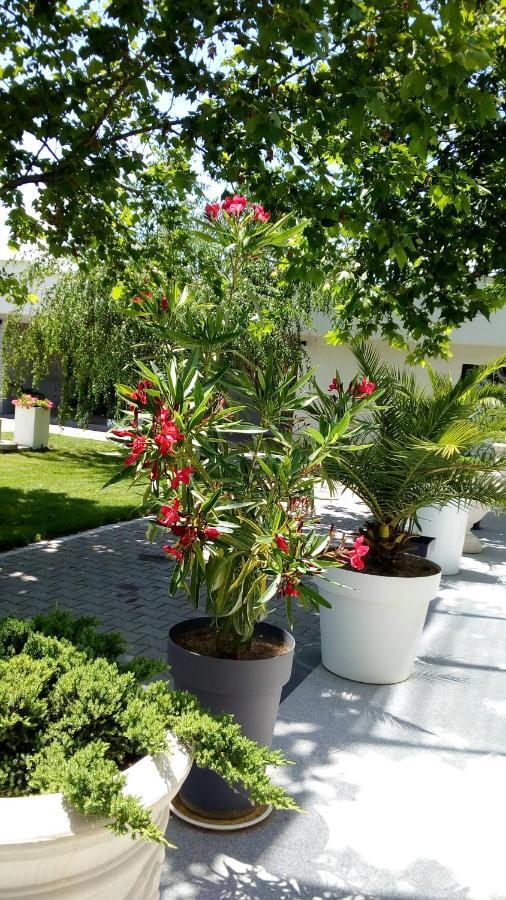 Mesecev Konak Bed and Breakfast Ni Exterior foto